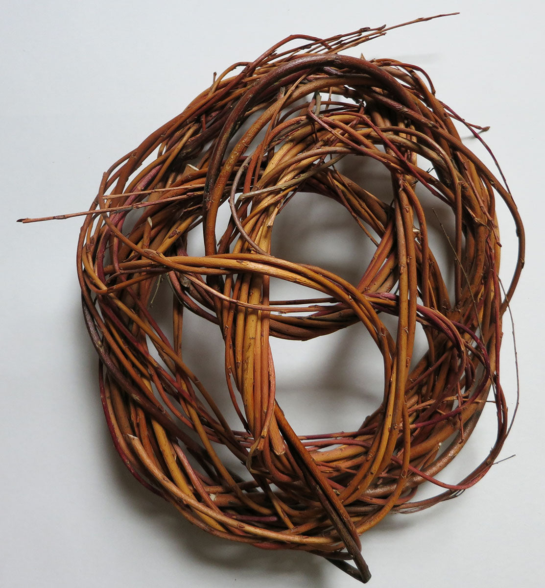 February 2023 - Rose Covert