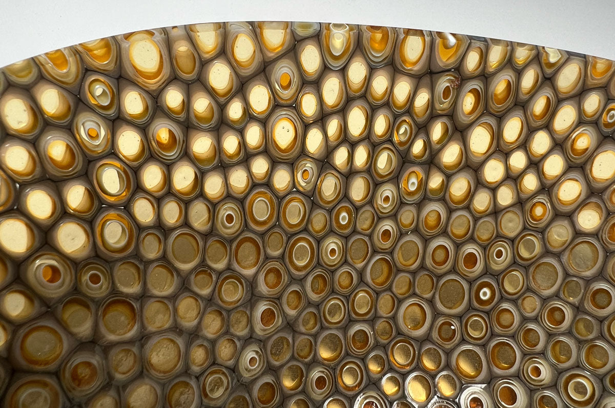 Nathan Sandberg: September 2023