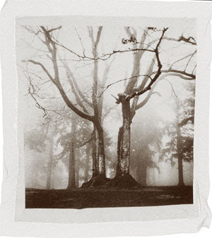 November 2006: Group 669: Polaroid Based Photography