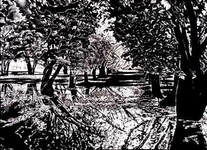 June 2016: Kelli MacConnell