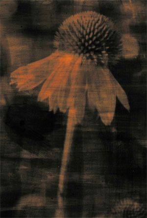 October 2006: Robert Huff