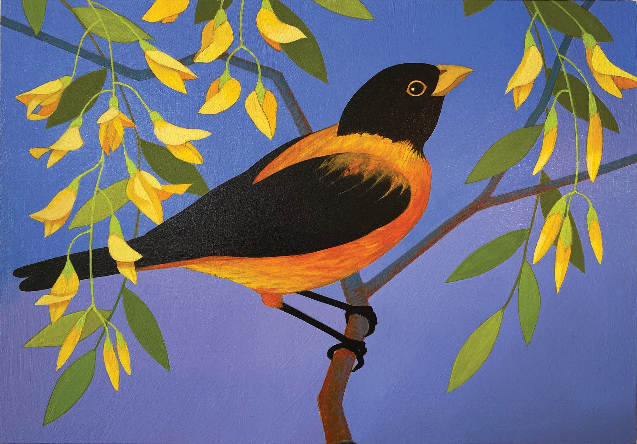 November 2021: Siri Schillios