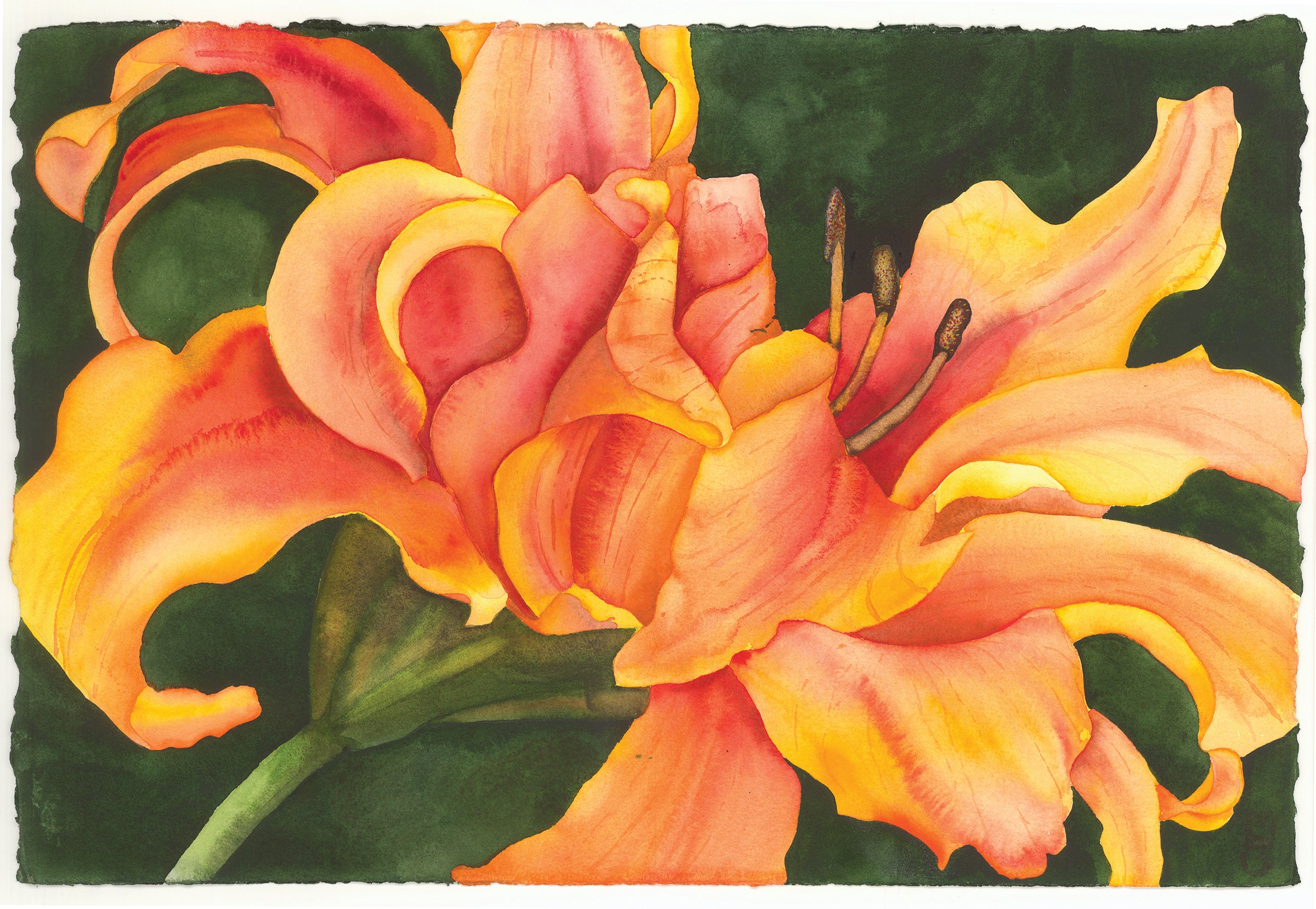 February 2021: Mary Lyn Gough