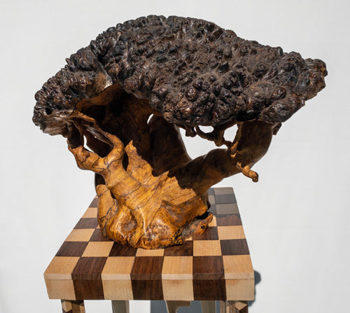 August 2021 - Dennis Peterson