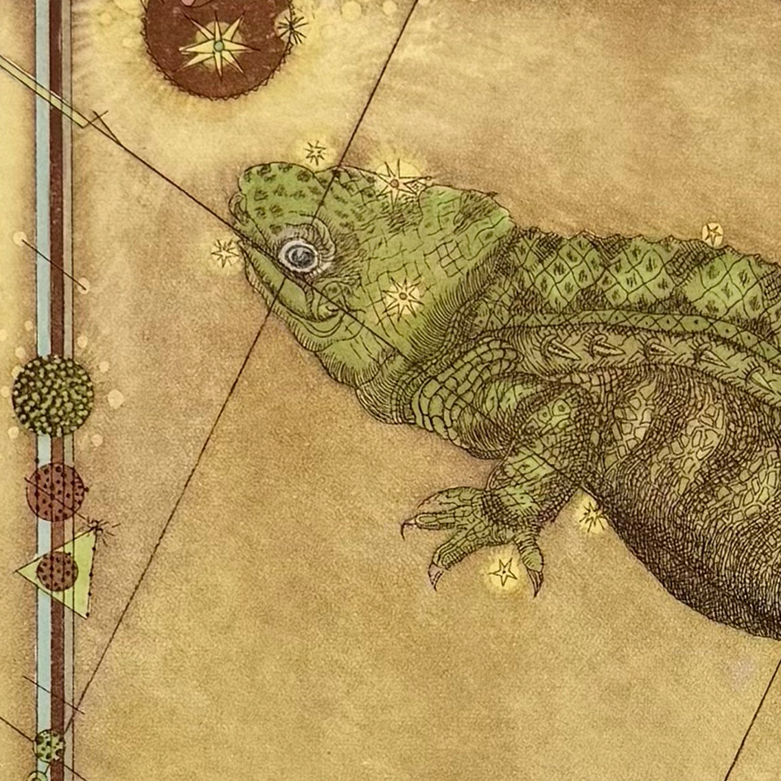 10. Lacerta