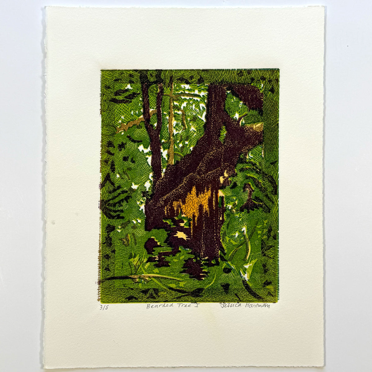 11. Bearded Tree I