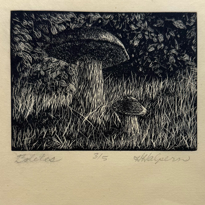 11. Boletes
