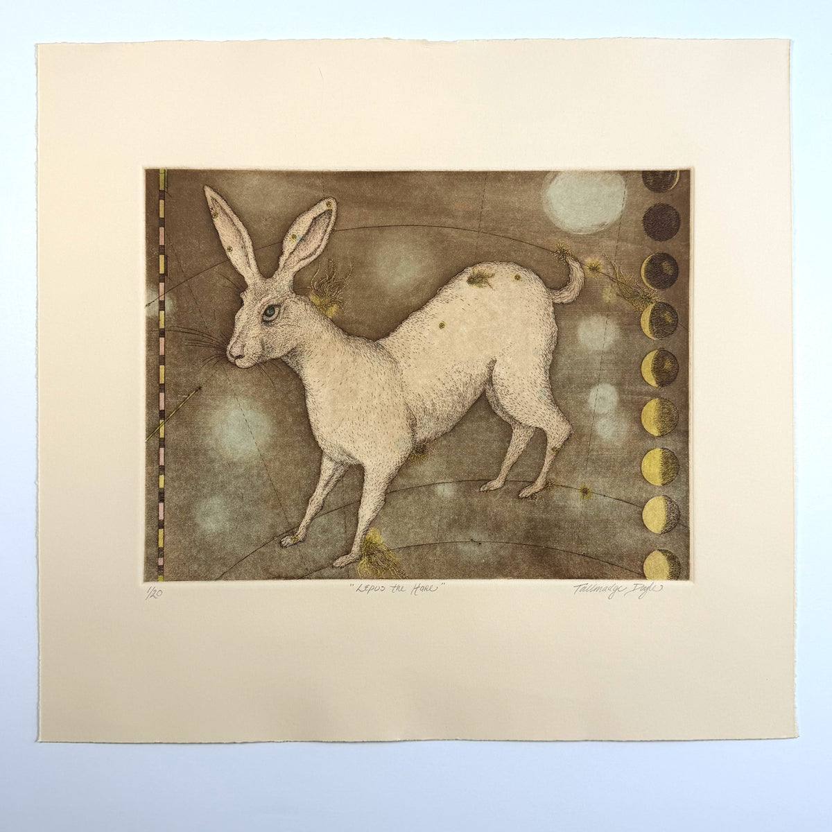 11. Lepus the Hare