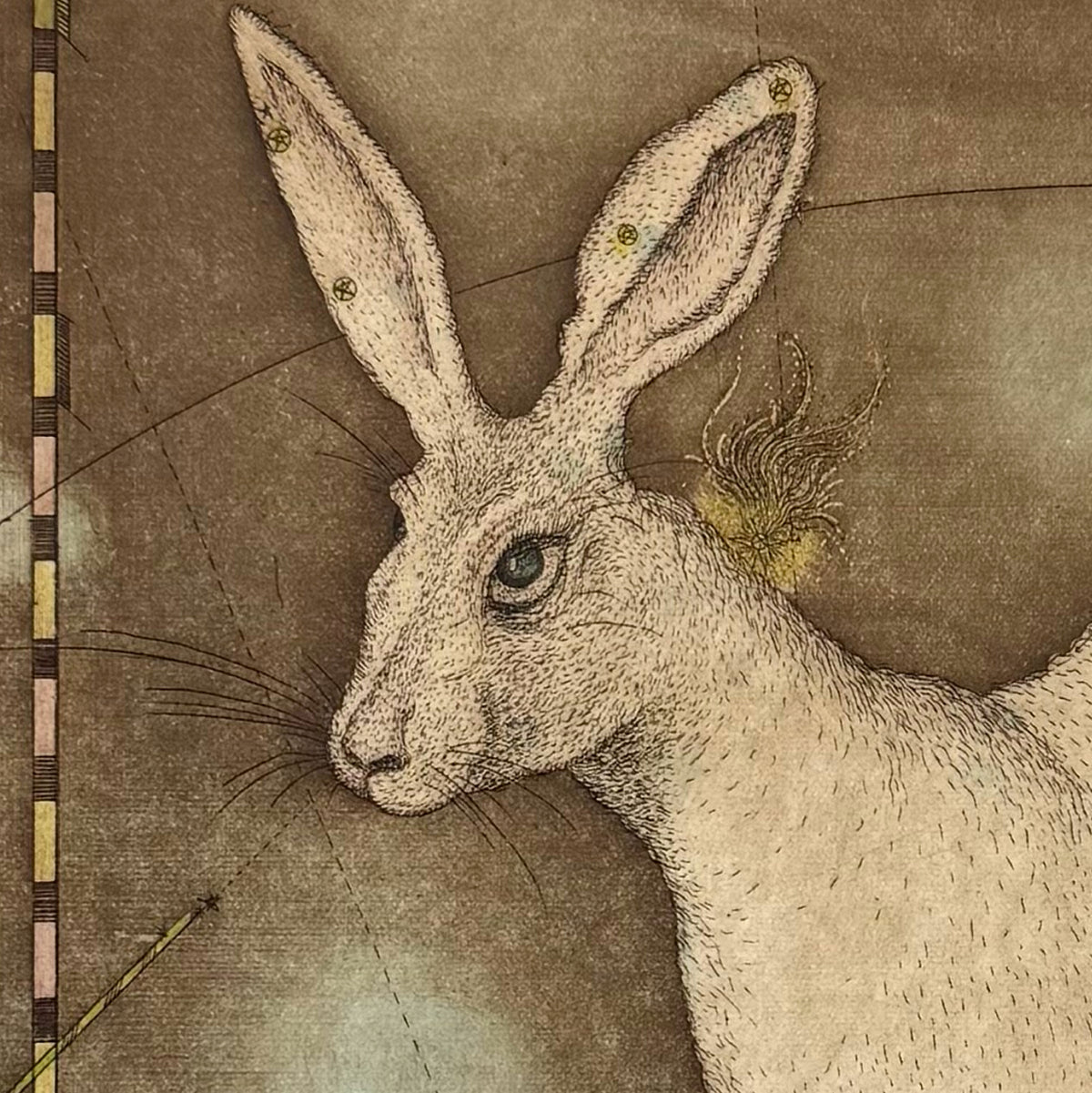 11. Lepus the Hare