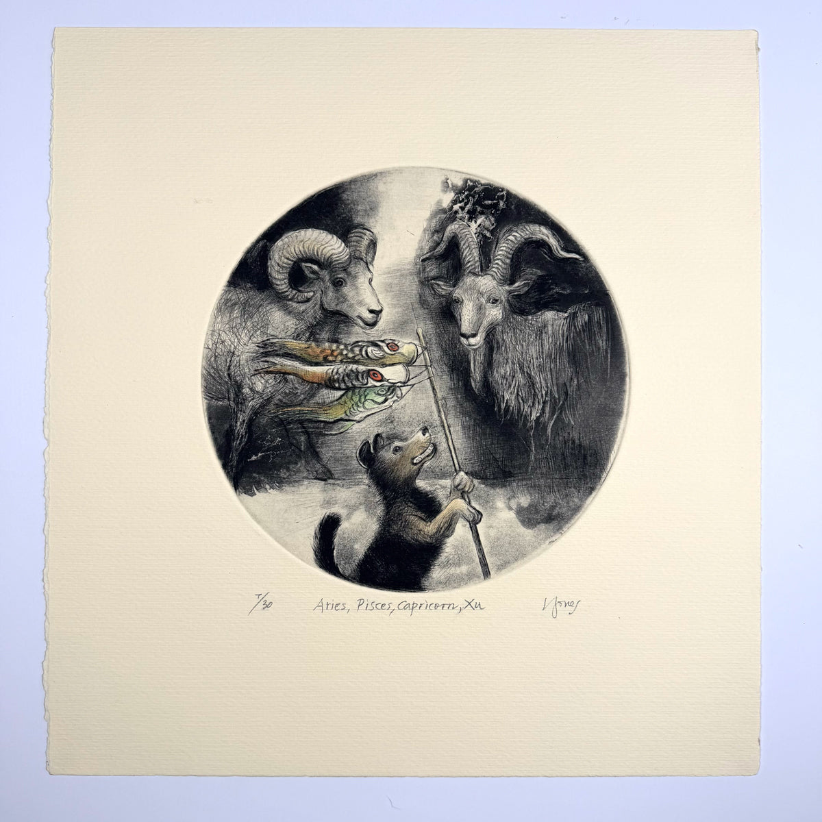 12. Aries, Pisces, Capricorn, Xu