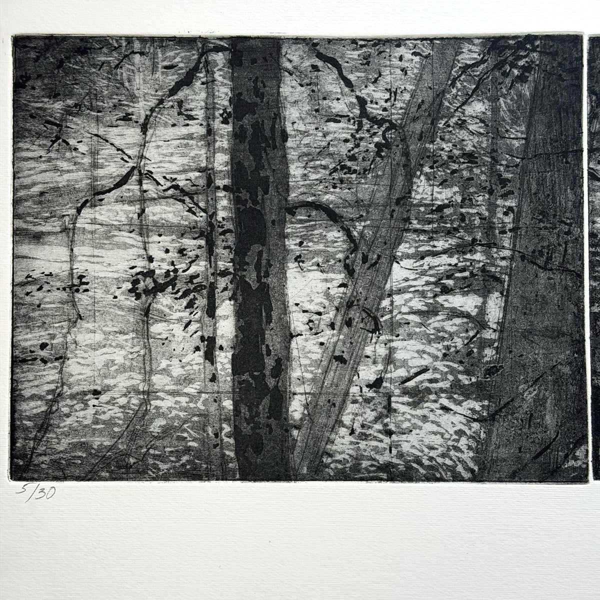 12. Nisqually River, Mount Rainier National Park (Triptych)