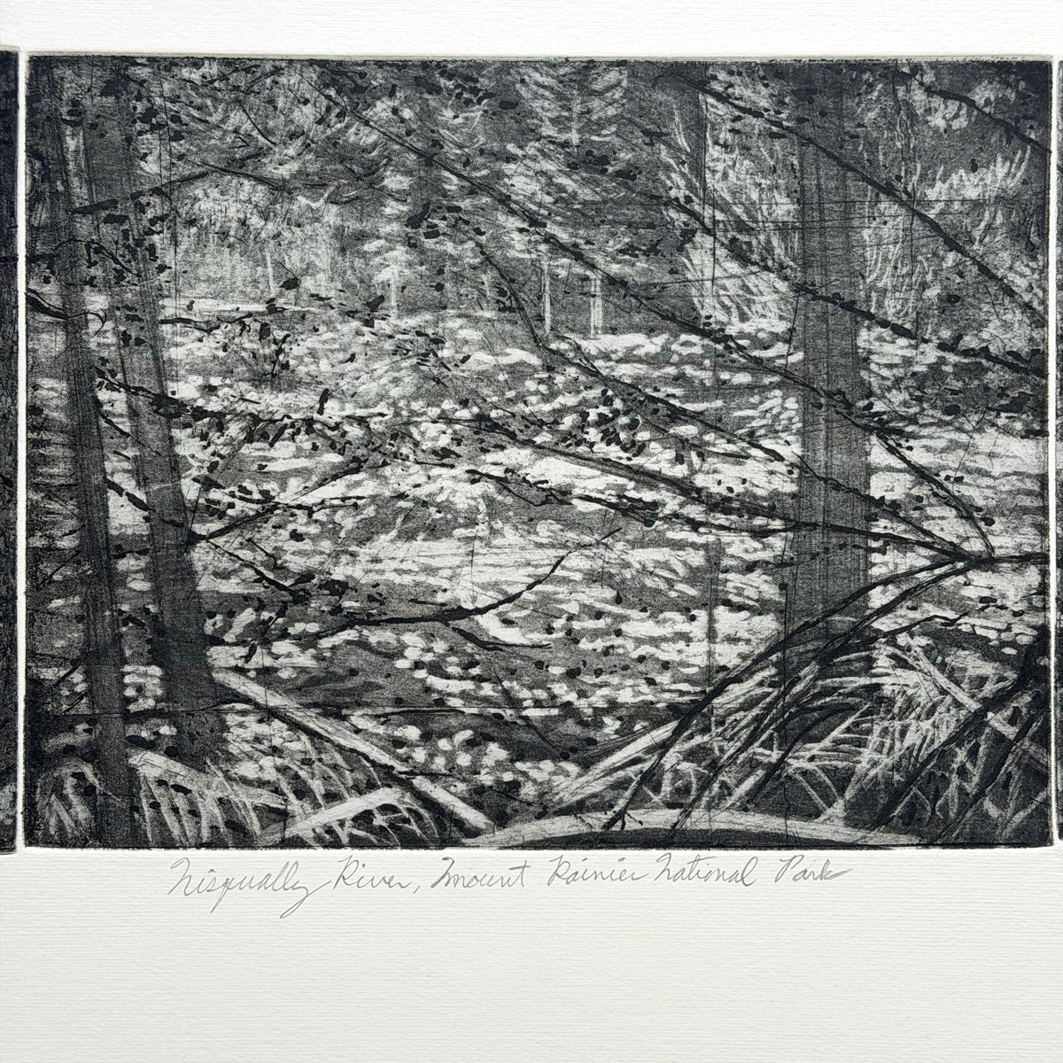 12. Nisqually River, Mount Rainier National Park (Triptych)
