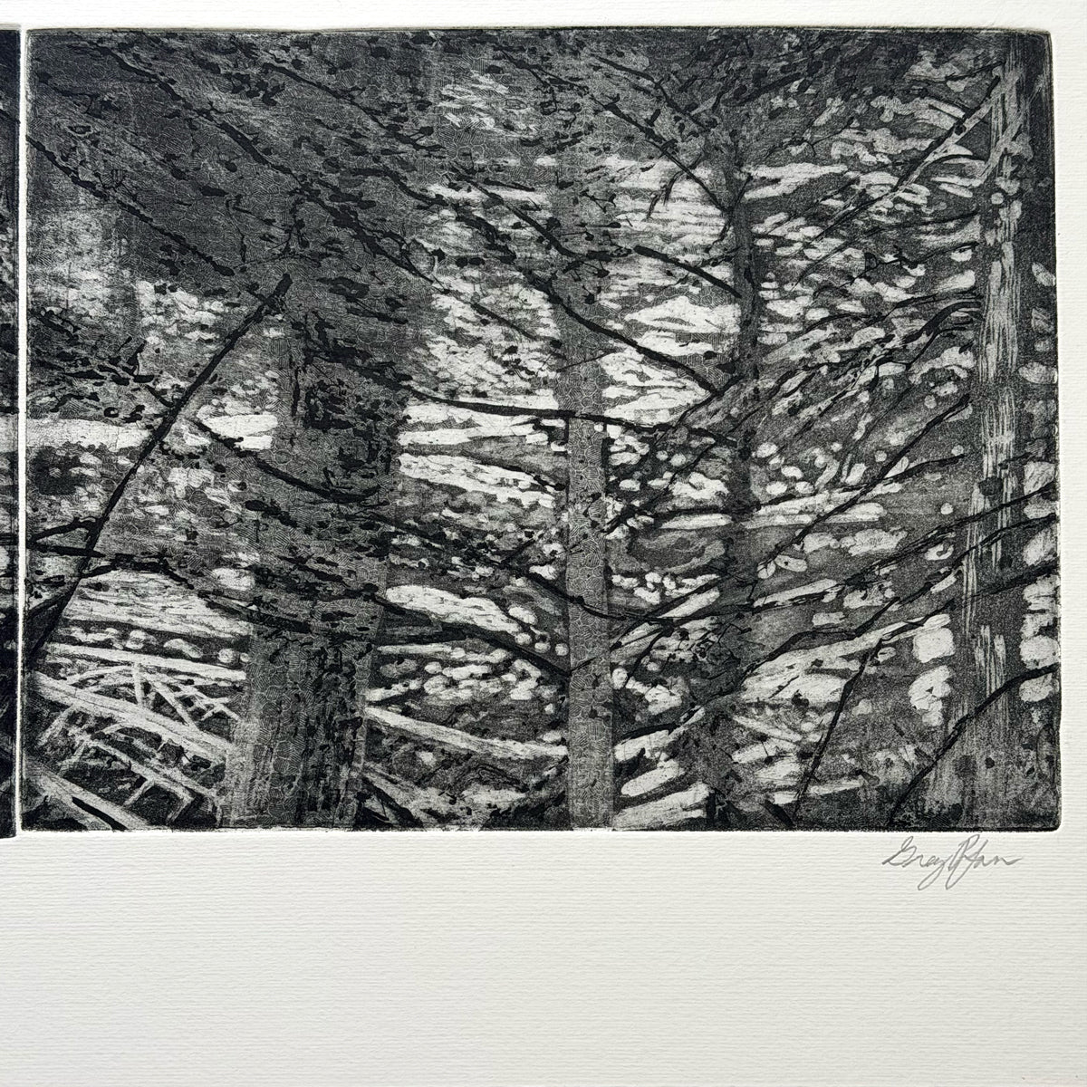 12. Nisqually River, Mount Rainier National Park (Triptych)