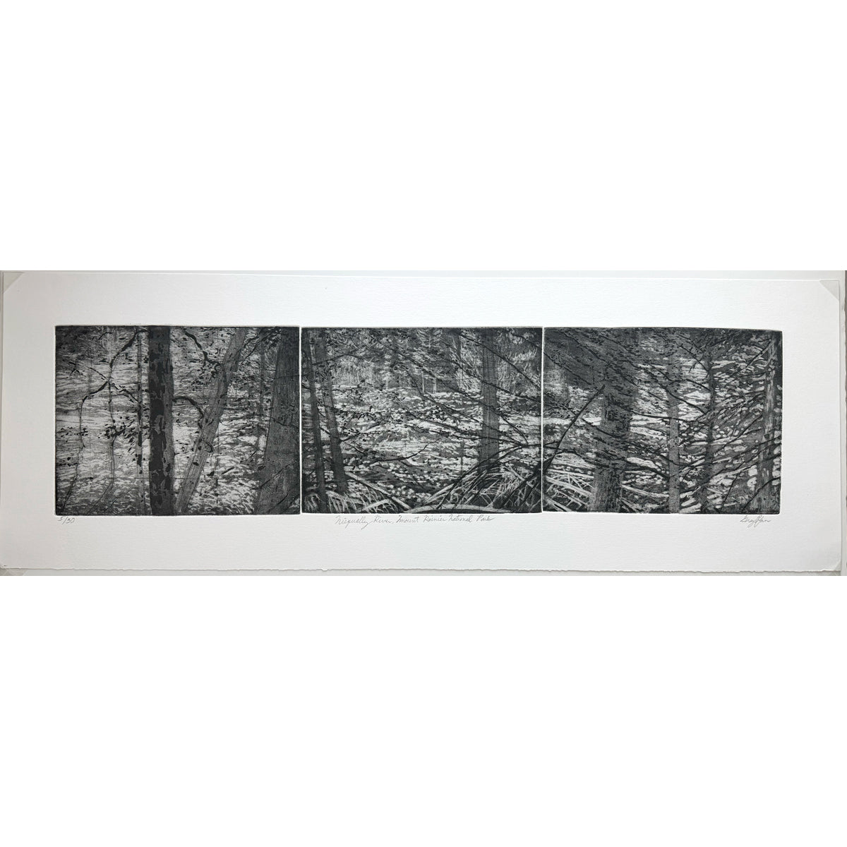 12. Nisqually River, Mount Rainier National Park (Triptych)