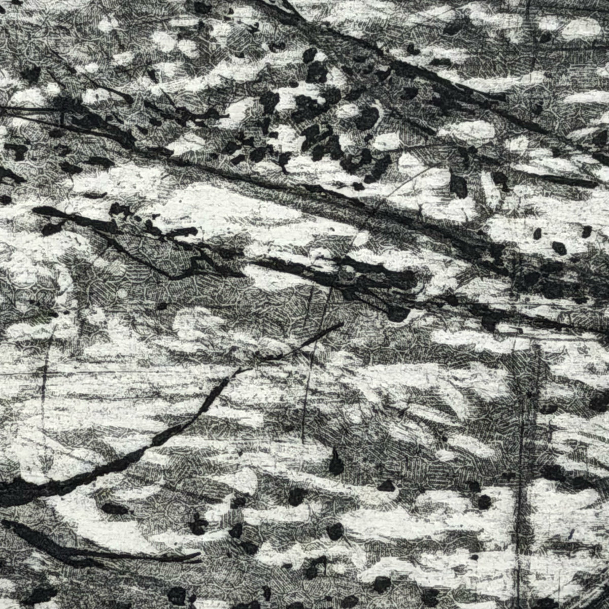 12. Nisqually River, Mount Rainier National Park (Triptych)
