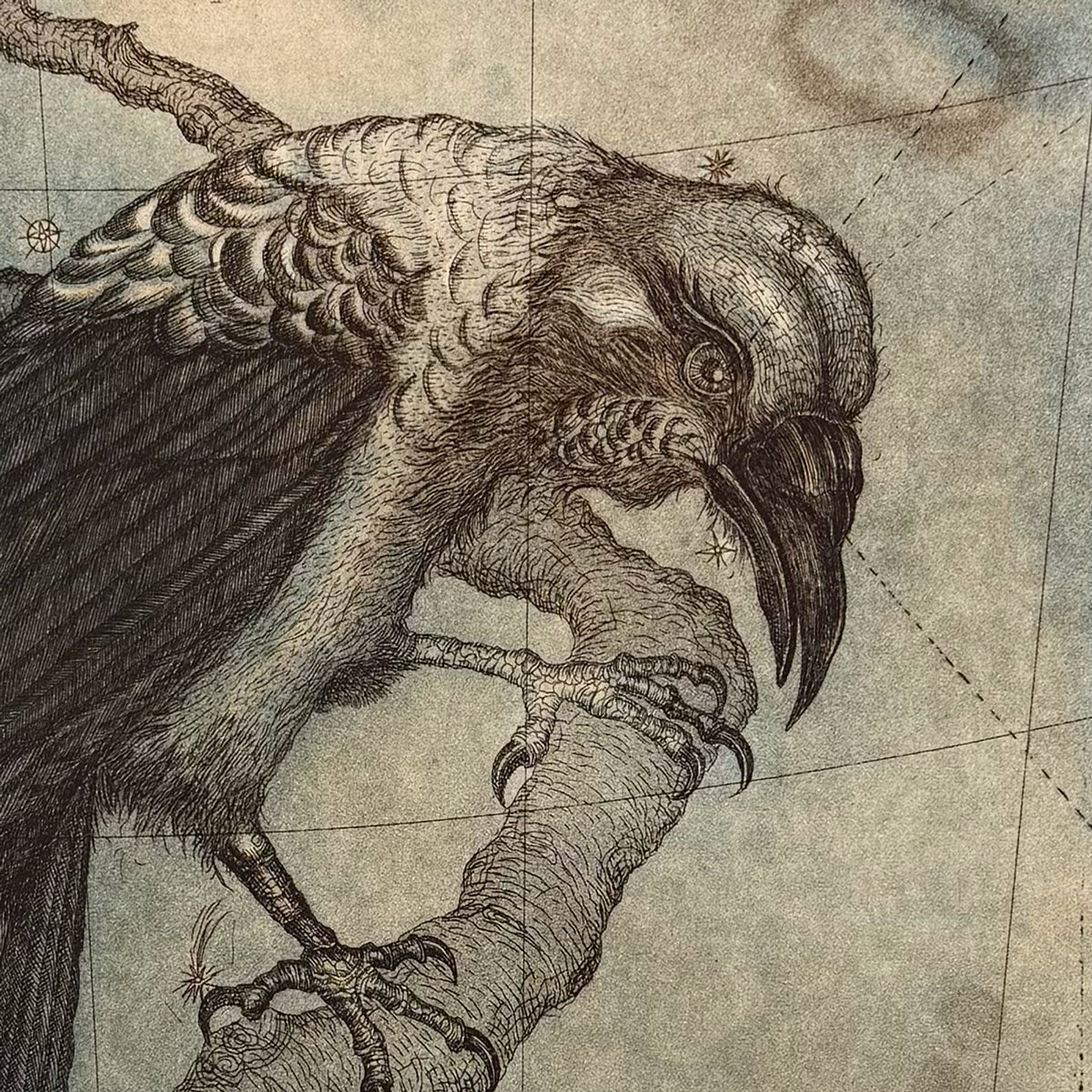 12. Raven