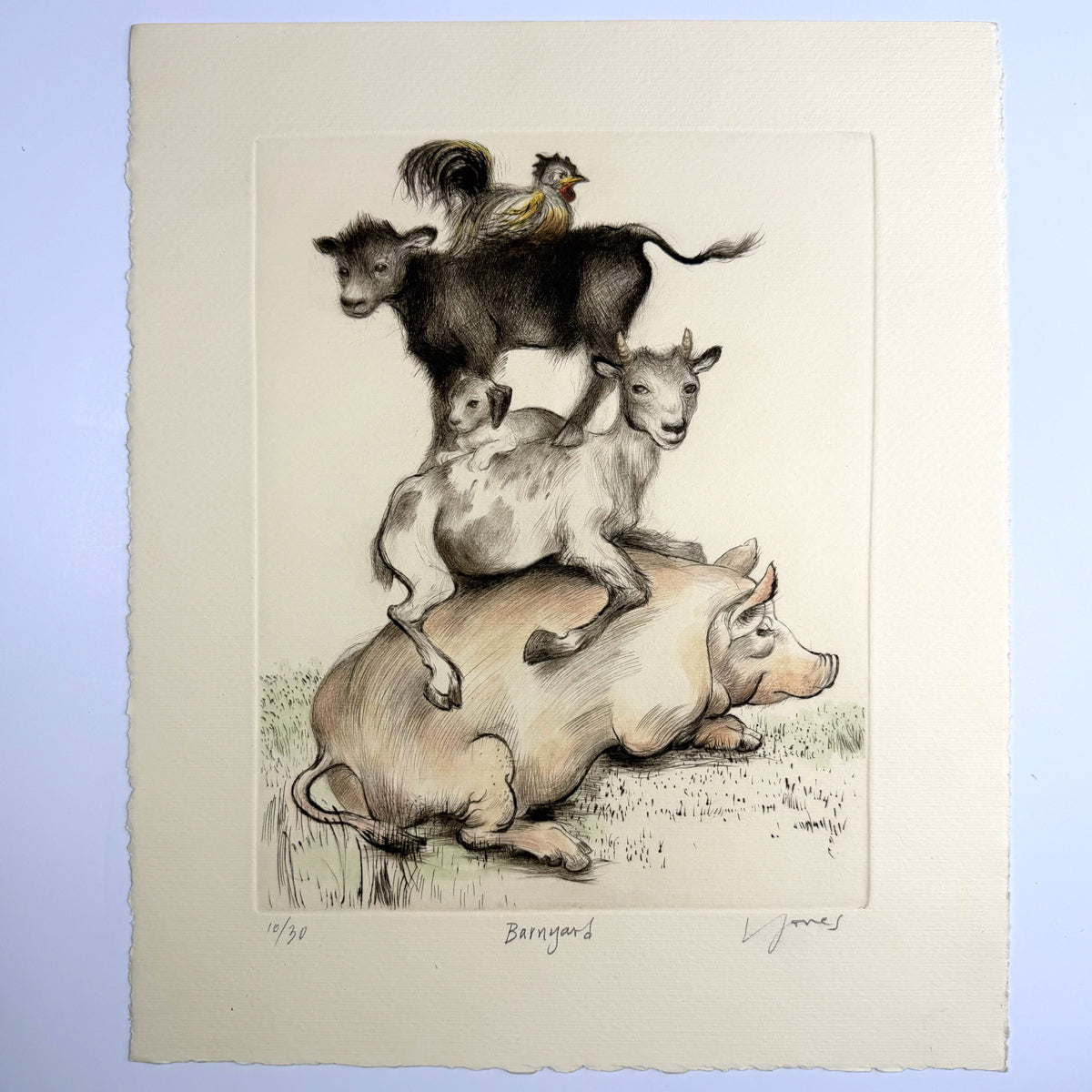 13. Barnyard