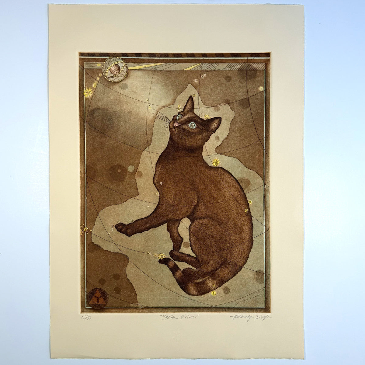13. Stellar Feline