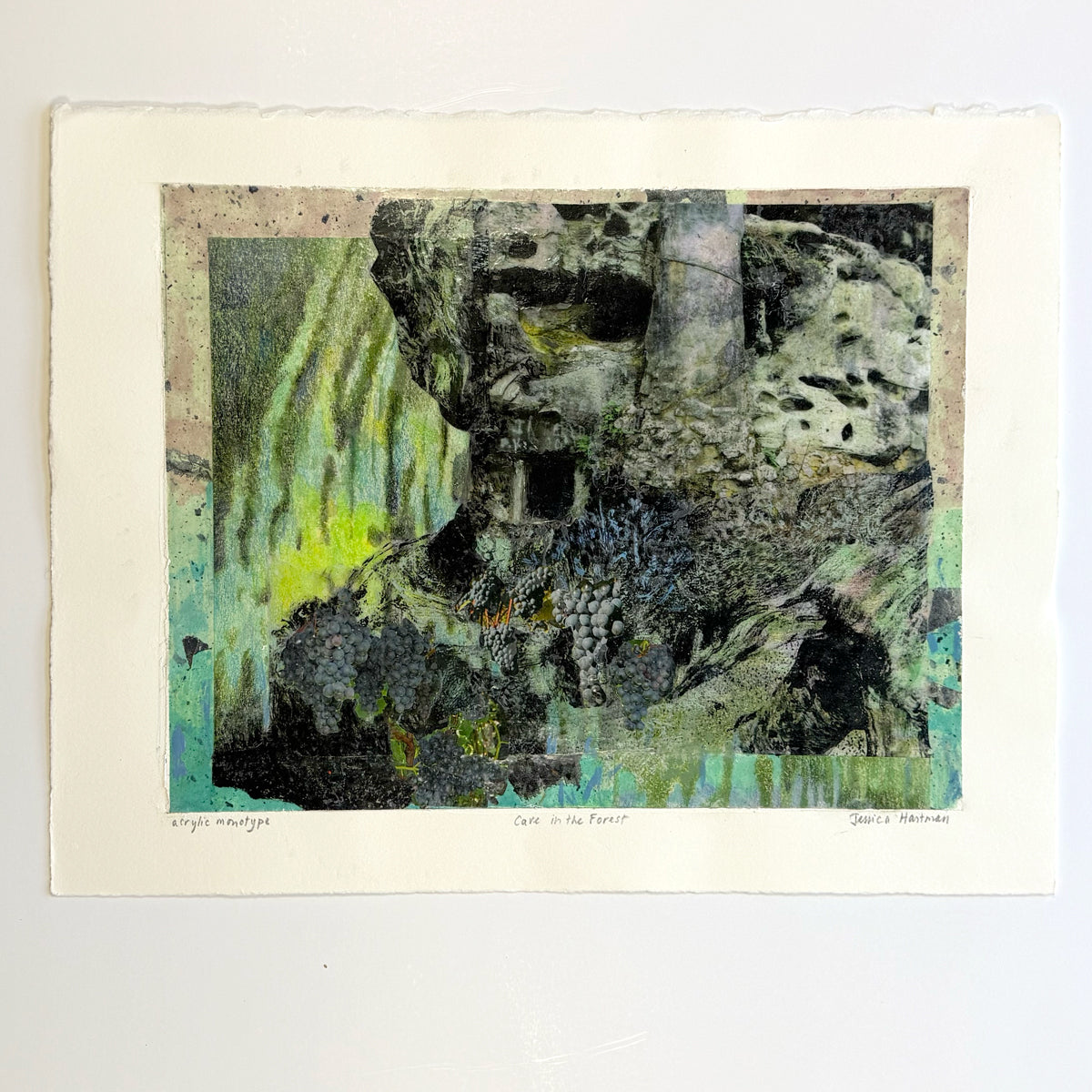 14. Cave in the Forest