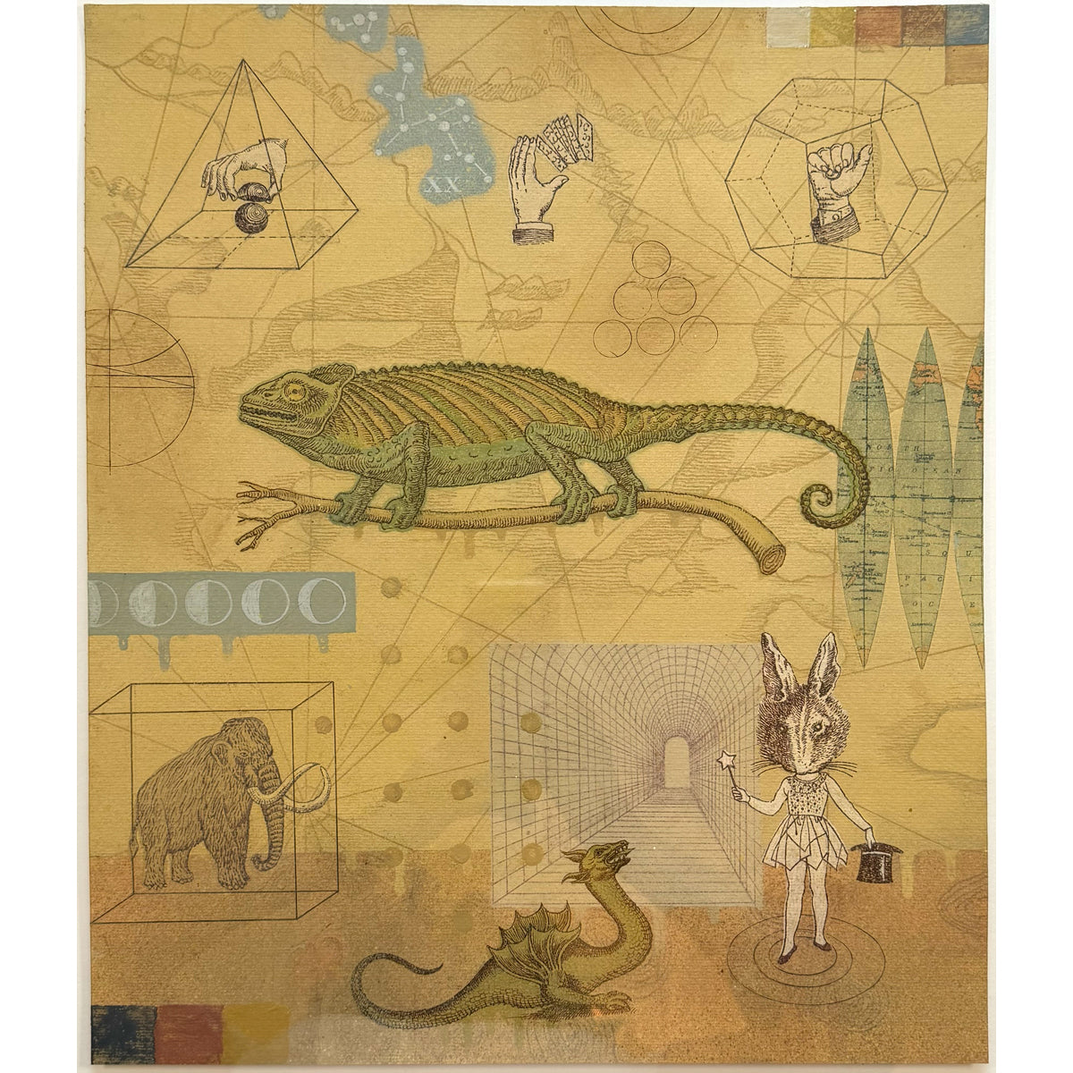 14. Chameleon