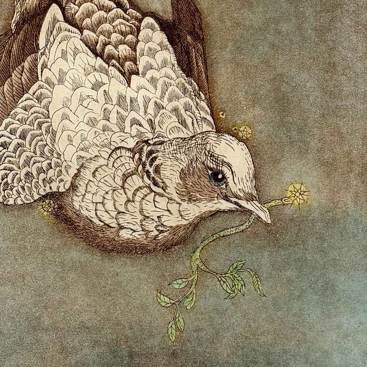 14. Columbia the Dove