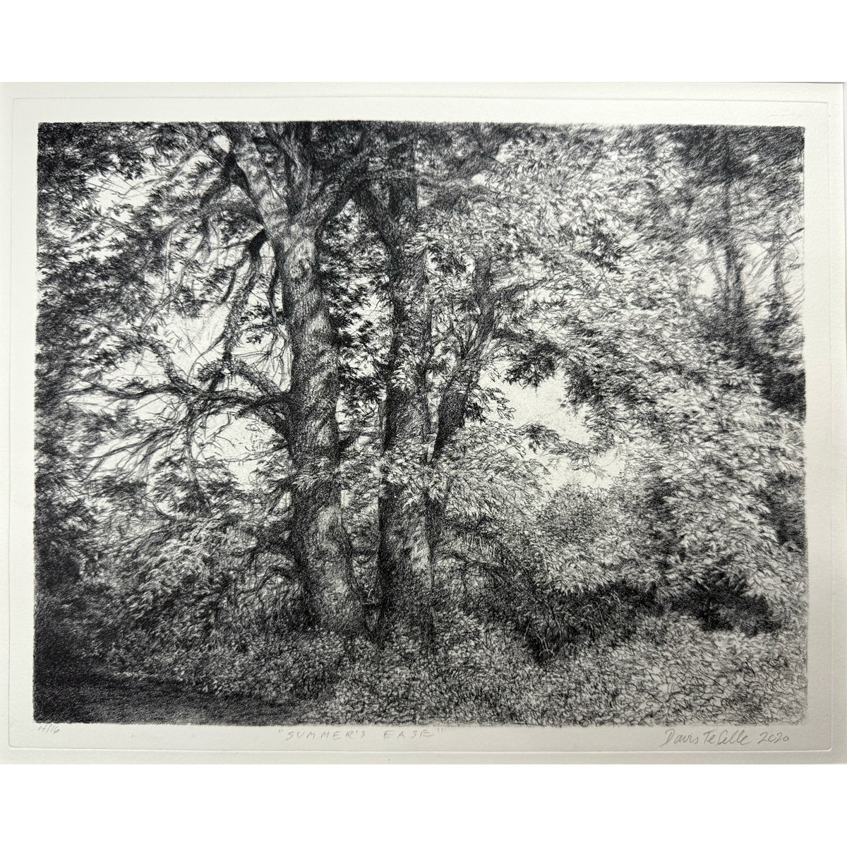 14. Summers Ease