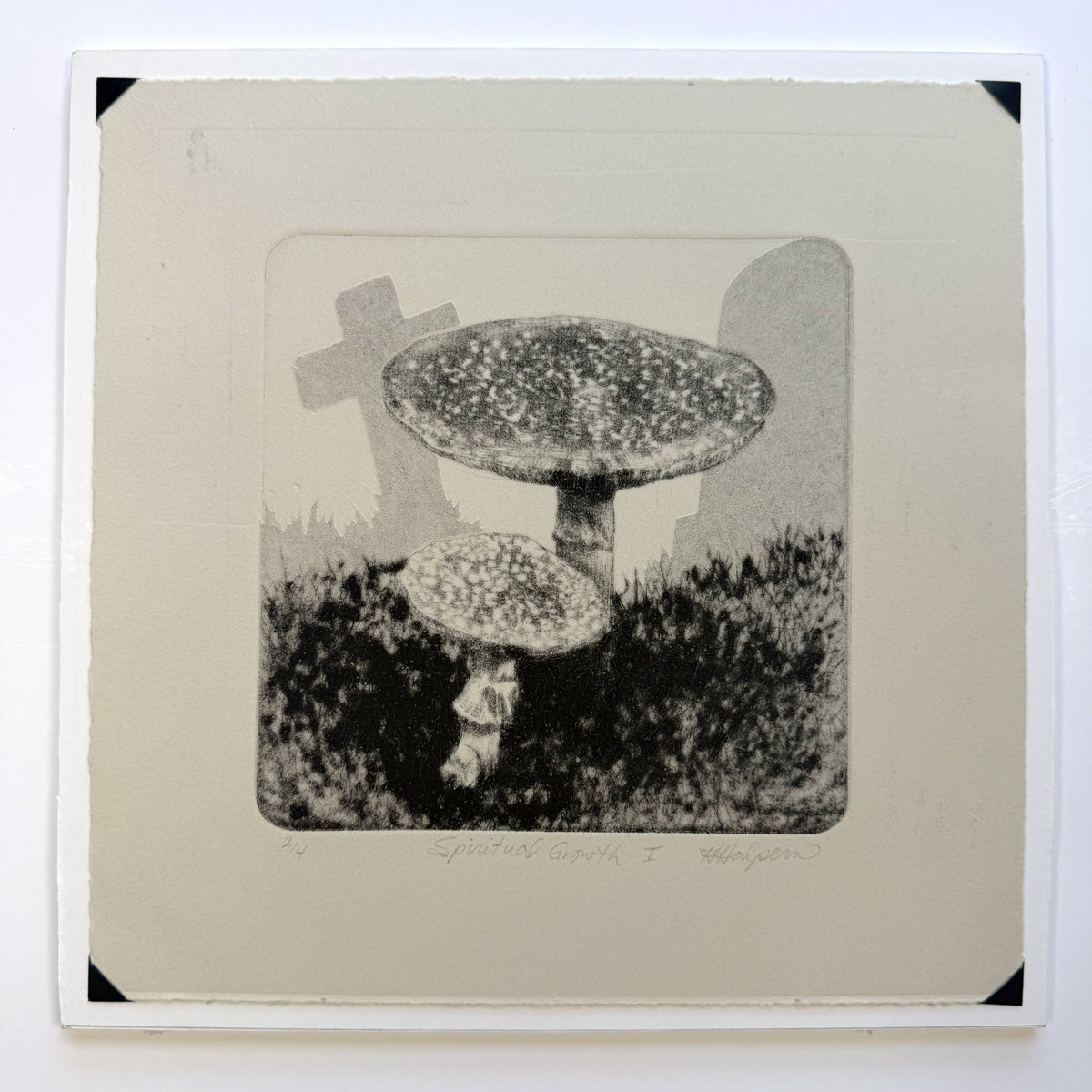 15. Spiritual Growth (Amanitas)