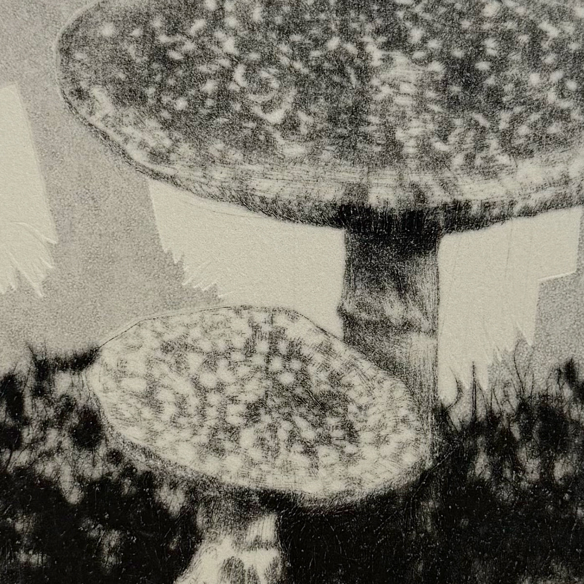 15. Spiritual Growth (Amanitas)