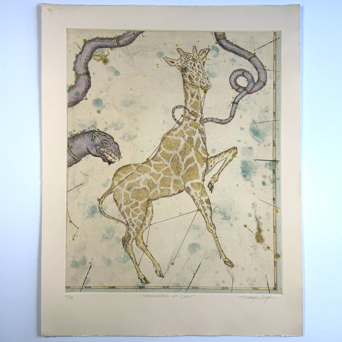 16. Camelopardalis with Drako