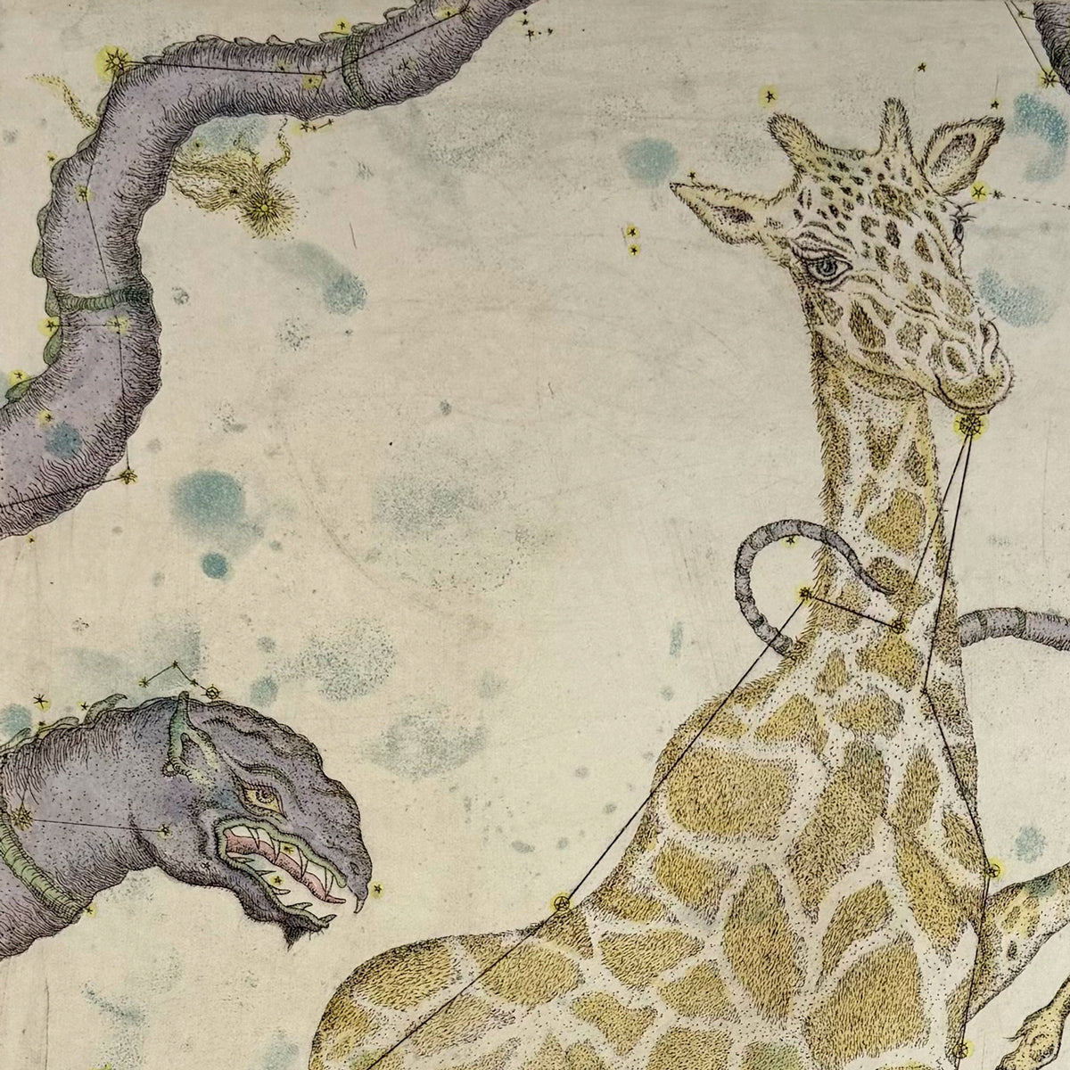 16. Camelopardalis with Drako