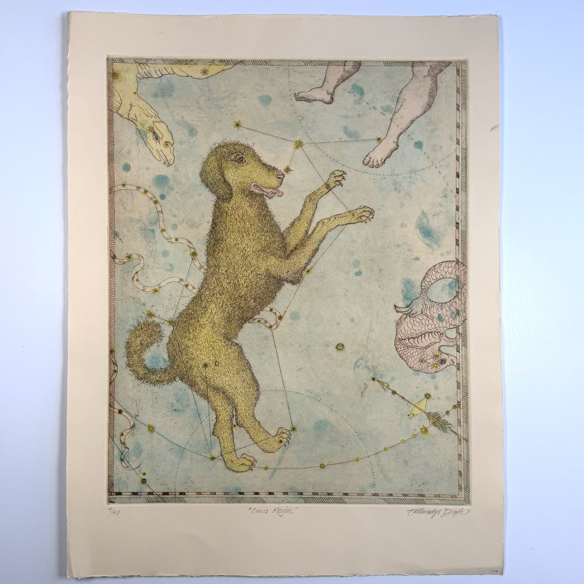 17. Canis Major
