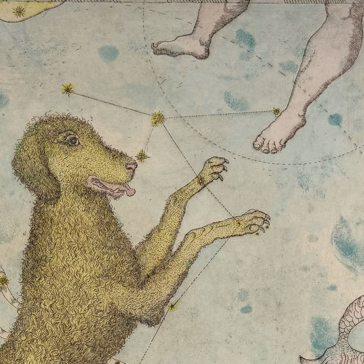 17. Canis Major