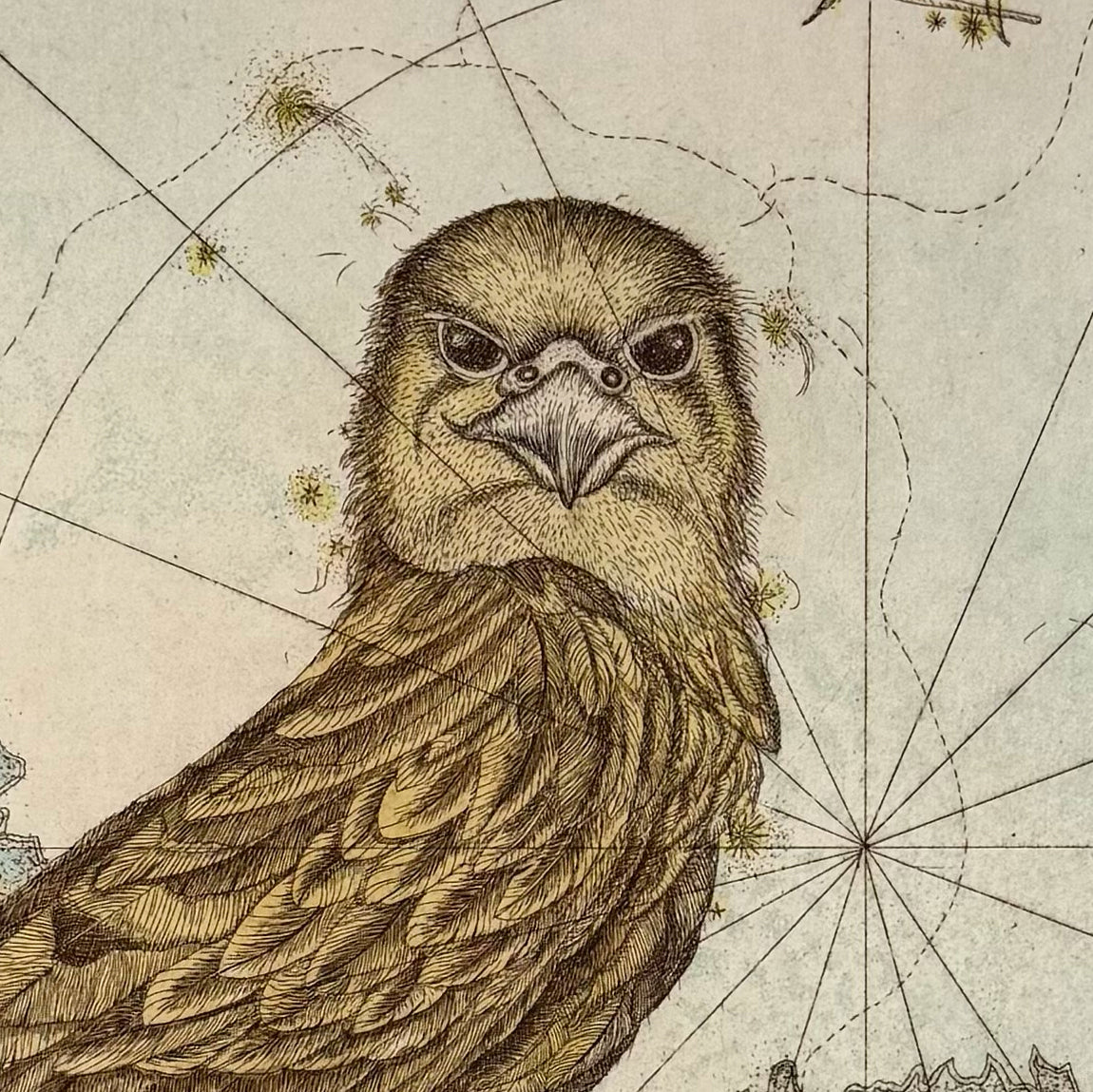 18. Aquila the Eagle