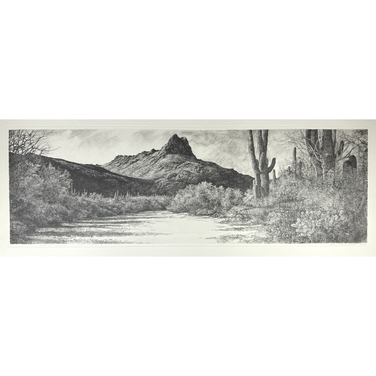 18. Desert Wash - Tuscon Mountains