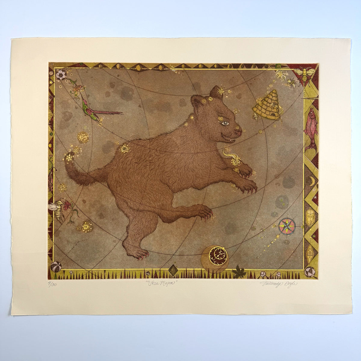 19. Ursa Major