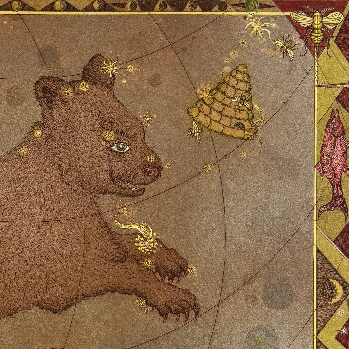 19. Ursa Major
