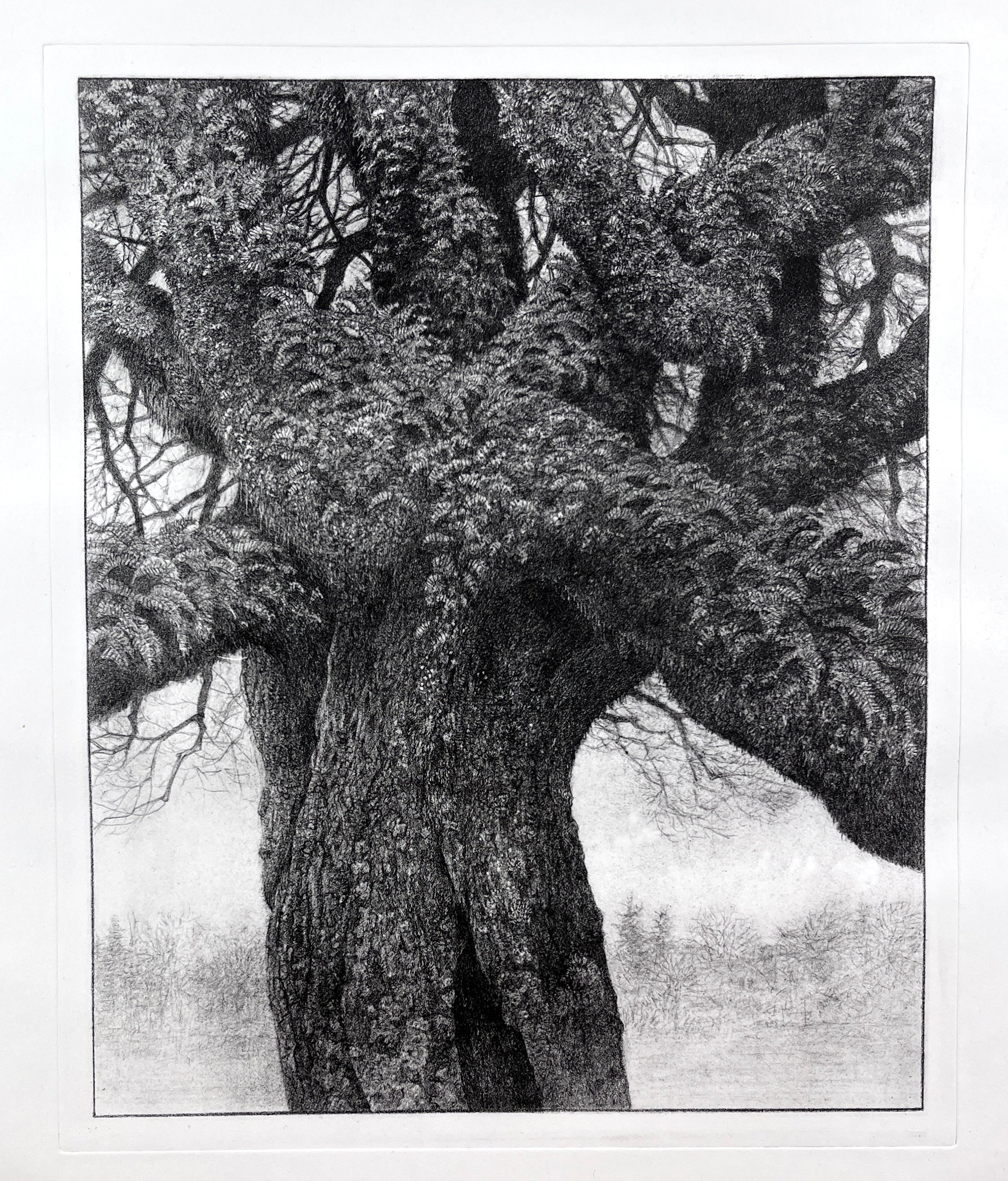 1. Her Elegant Mantle (Framed)