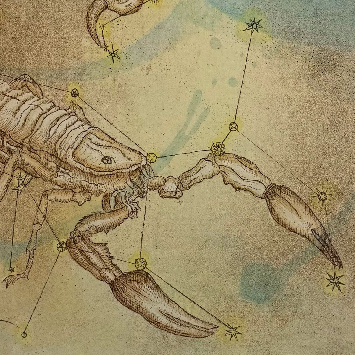 20. Scorpius
