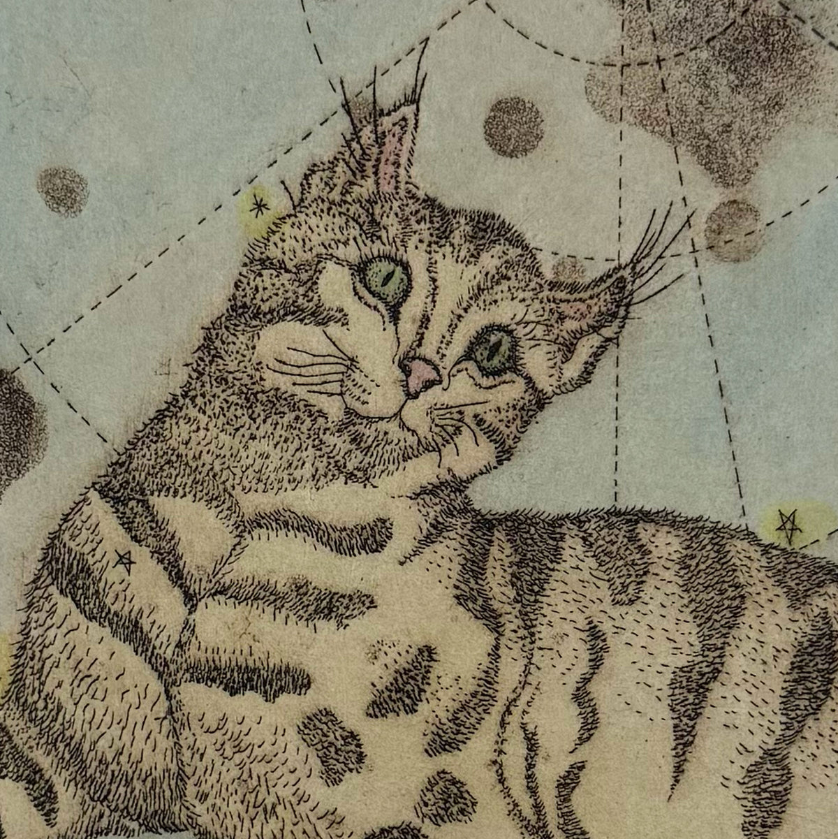 21. Lynx