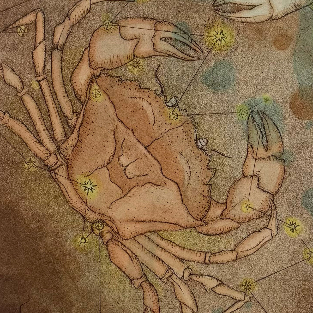 23. Cancer