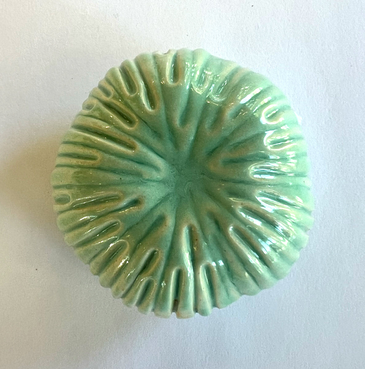 25-15 Coral Sea Garden Pod
