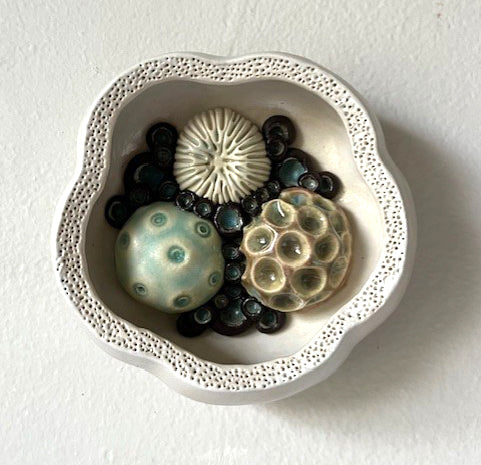 25-53  Coral Reef Tide Pool