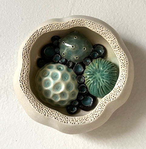 25-54  Water Babies Tide Pool