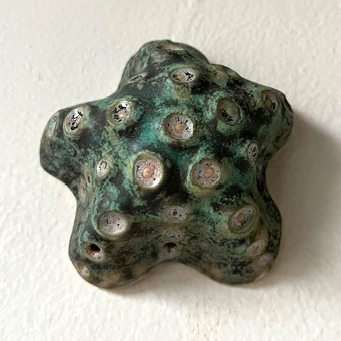 25-58 Green & ink Radiant Sea Star