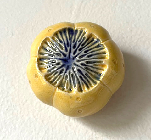 25-59  Yellow Sea Urchin Wall Pod