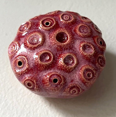 25-62  Pink and Red Sea Eyes Wall Pod