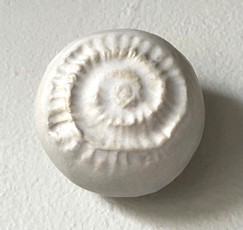 25-63  White Sea Fossil Spiral Wall Pod