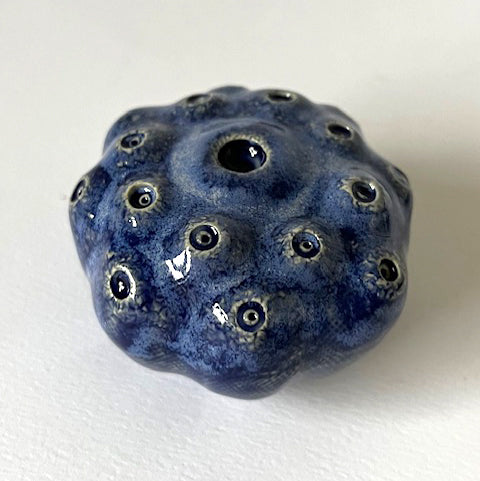 25-71  Blue Sea Spore Wall Pod