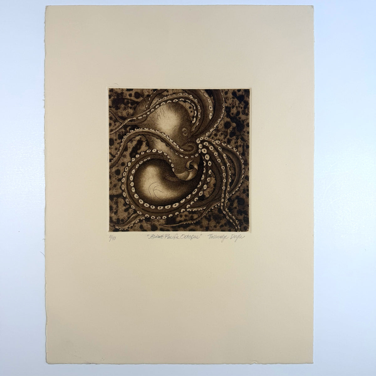 25. Giant Pacific Octopus