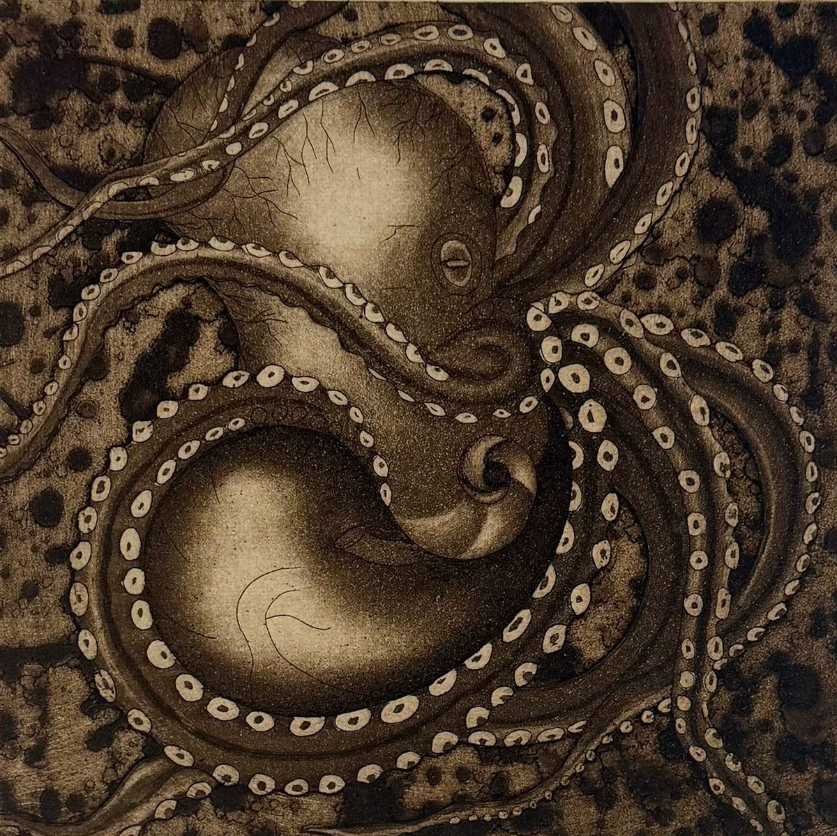 25. Giant Pacific Octopus